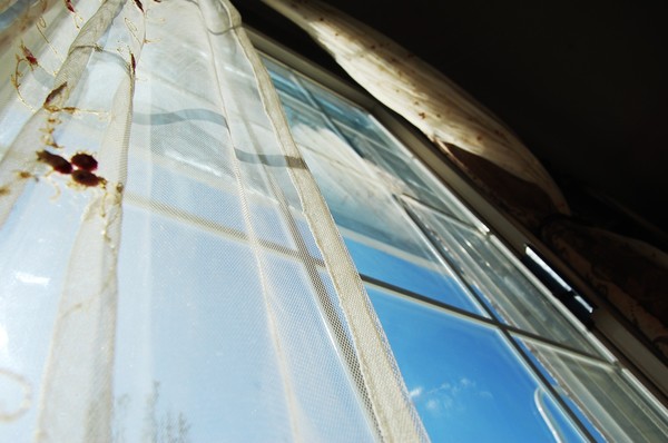 Large window