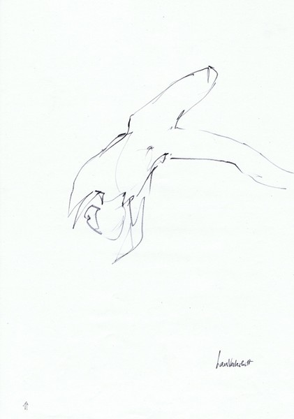 cpA 001 5 web
