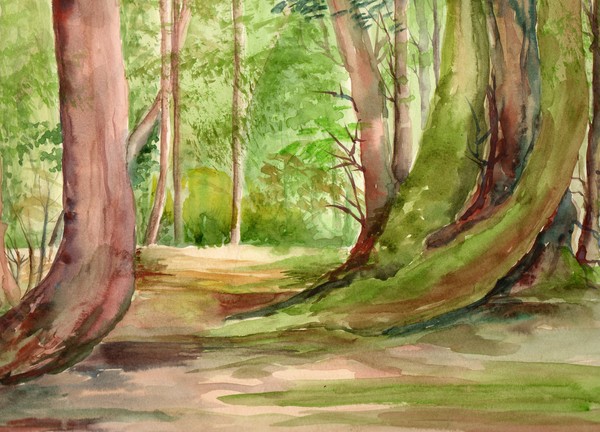 Trees