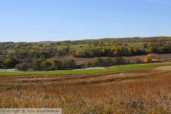 Nebraska Fall 1 ne1250