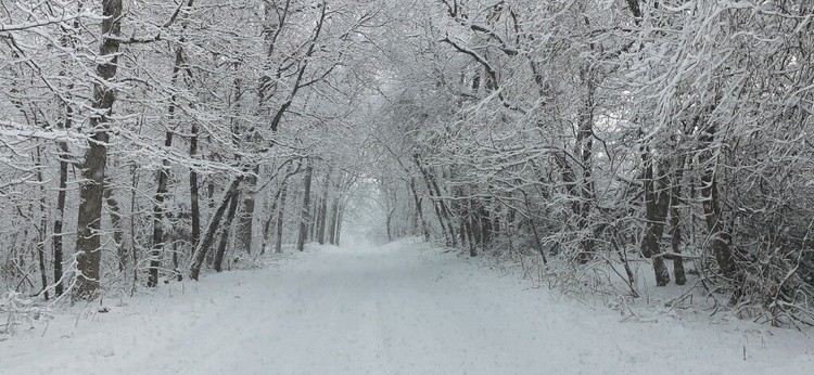BEAUTIFUL WET HEAVY SNOW