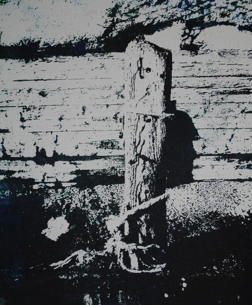 Spurn Point Groynes at low tide