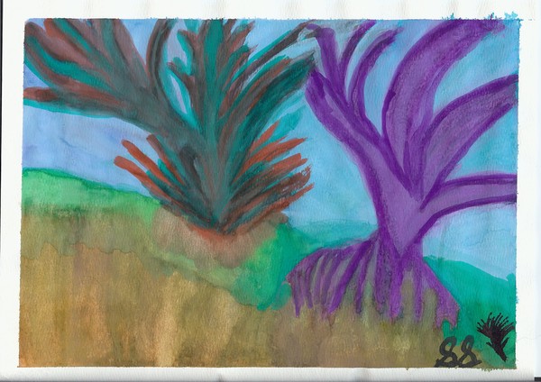 coral reef