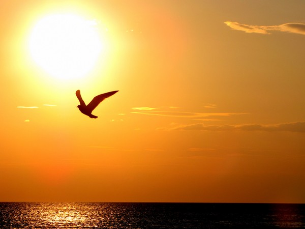Romantic sea sunset