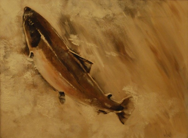 SALMON RUN