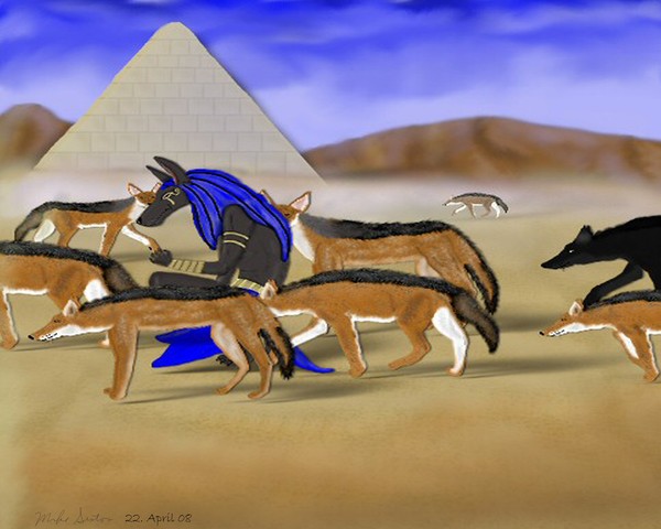 Emerging from the Pack
