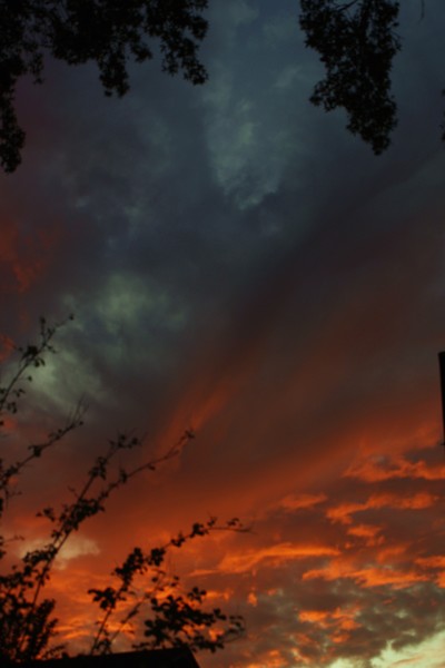 Georgia Sunset 3