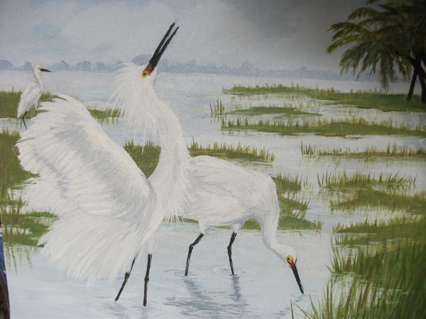 white marsh birds