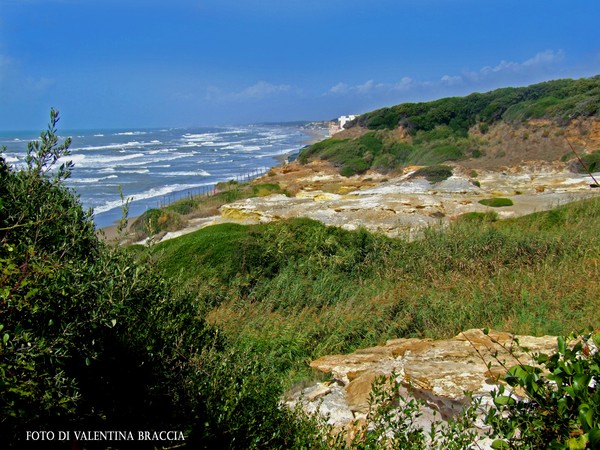 Mediterranean vegetation in the reserve tor caldar