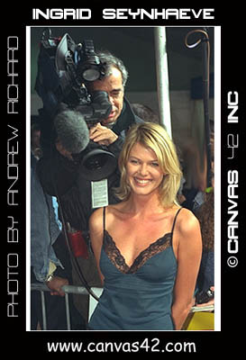 Lights Camera Action
