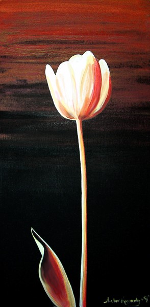 Tulip At Sunset