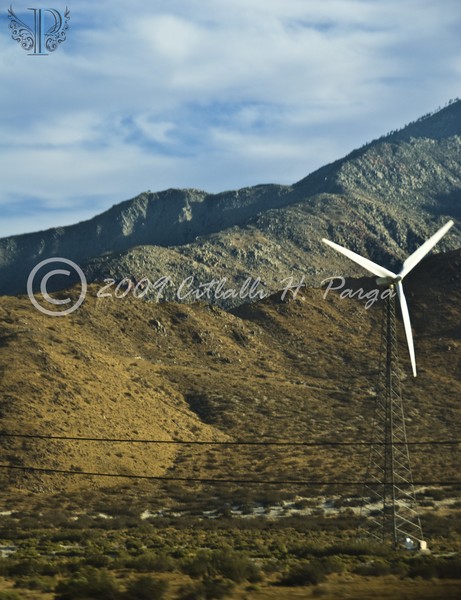 Windmill