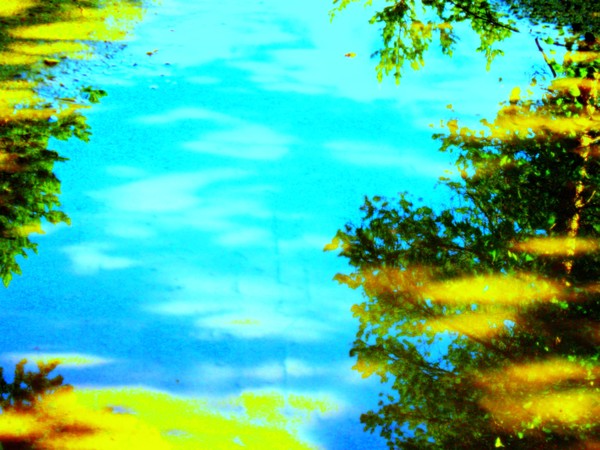 Beautiful summer day