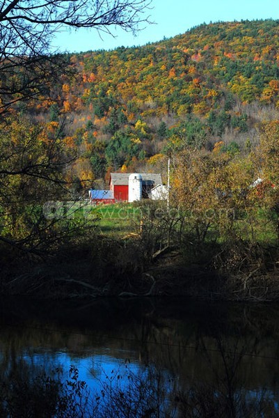 New York Farm