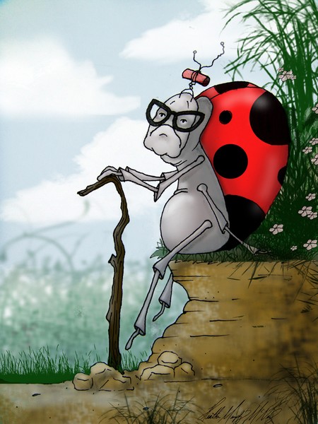 Lady Bug