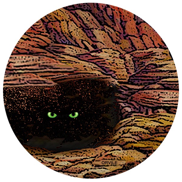 The Thing In The Cave