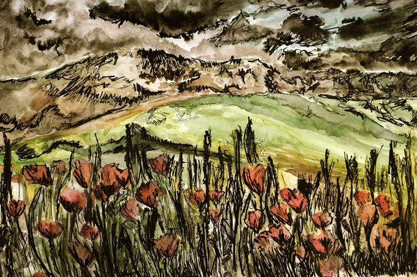 Poppies
