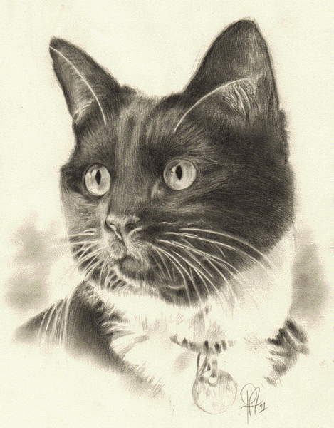 Agnes (Original Portrait Commission)