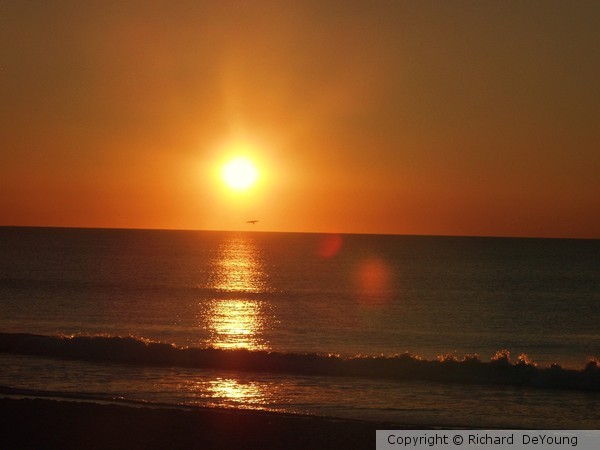 LAVALETTE SUNRISE 2