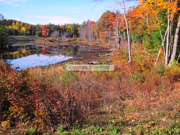 Autumn in New England