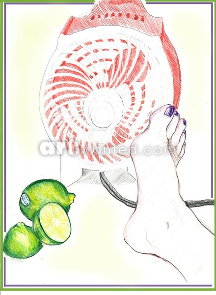 summerfan