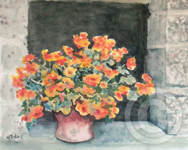 In a Tuscan Window