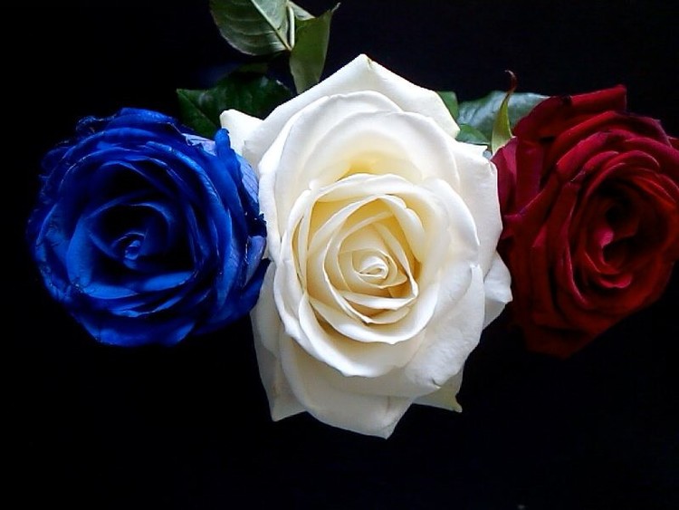 HAPPY JULY 14. BASTILLE DAY  ...