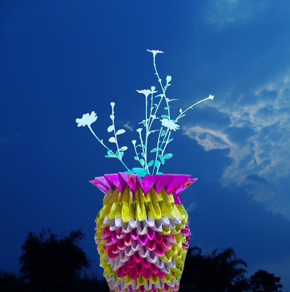 pine-apple flower