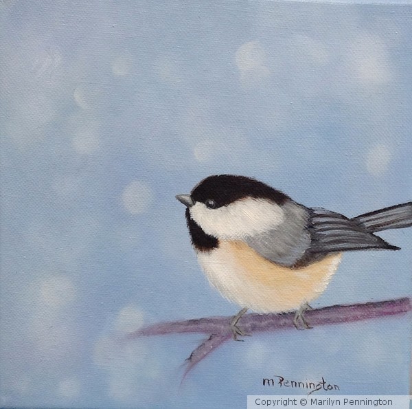 Chickadee