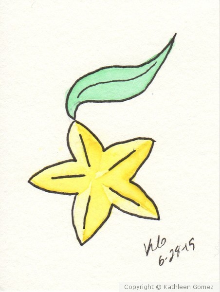 Paopu Fruit Commission