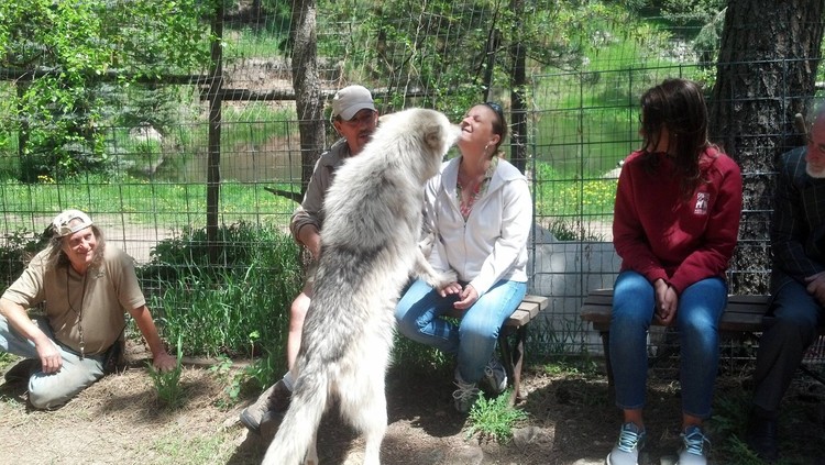Alissa and Wolf