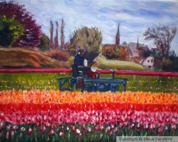 Spring in Holland