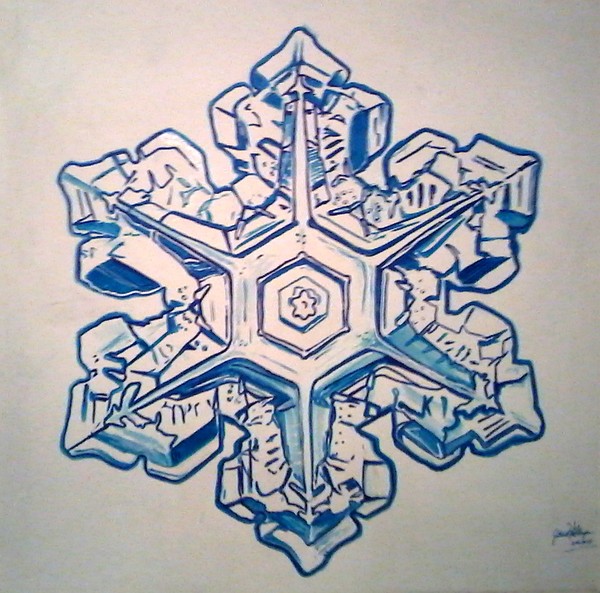 Snowflake#2