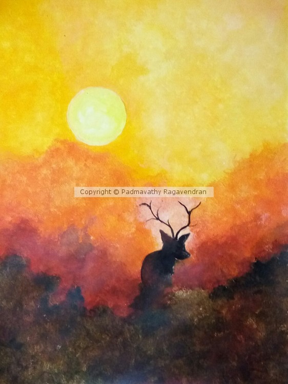 Sunset Savanna