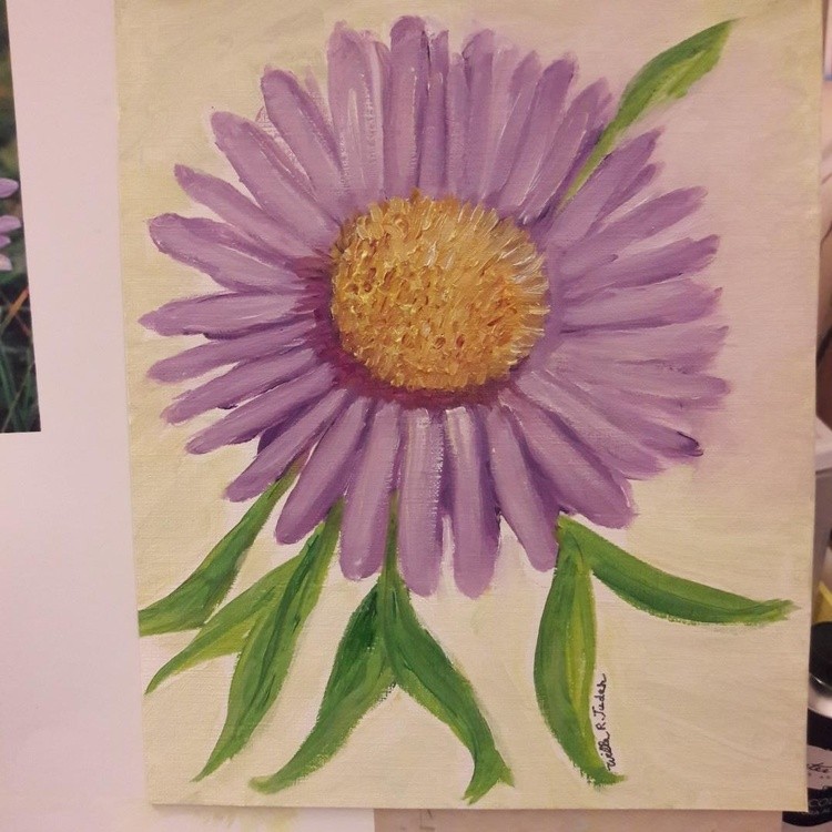 Aster Alpinus flower of Italy