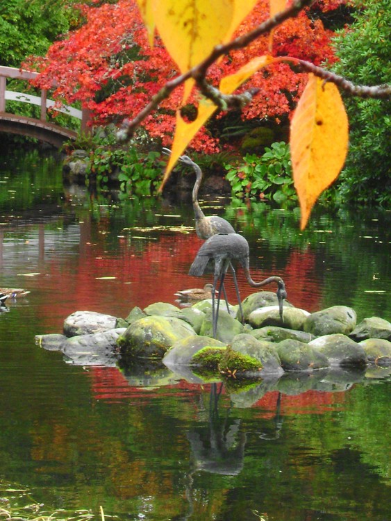autumn