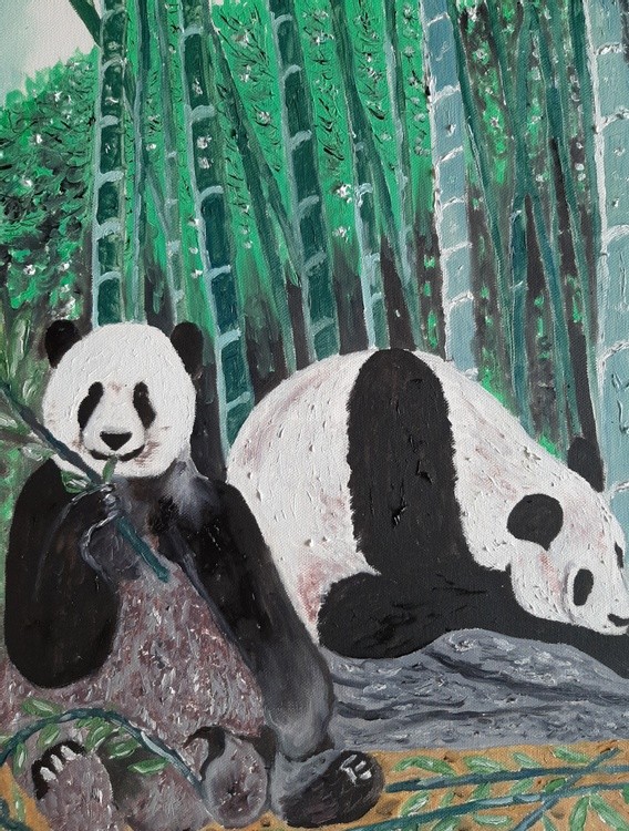 Animal series ---Pandas