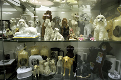 Dog Memorabilia