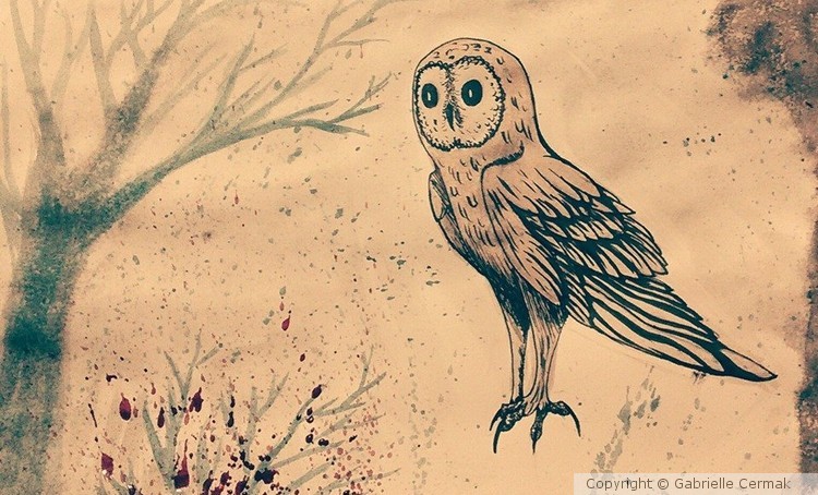 A Owl