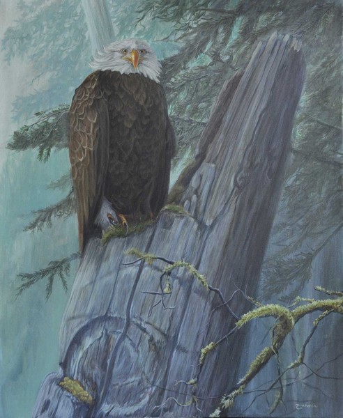 The Guardian