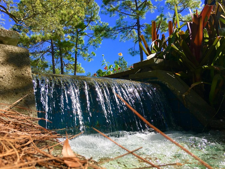 water rush