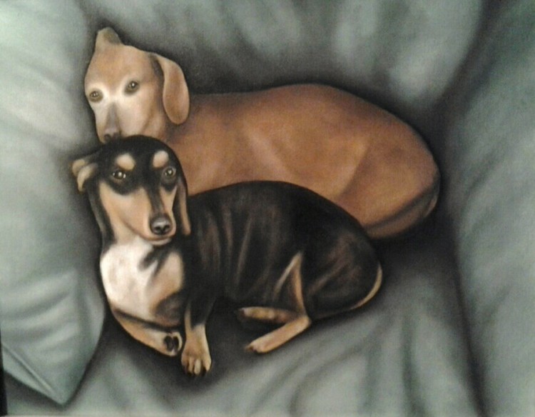 Dogs