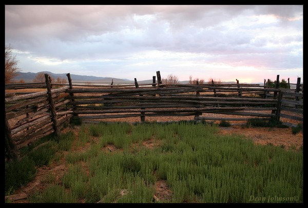 Don't Fence Me In