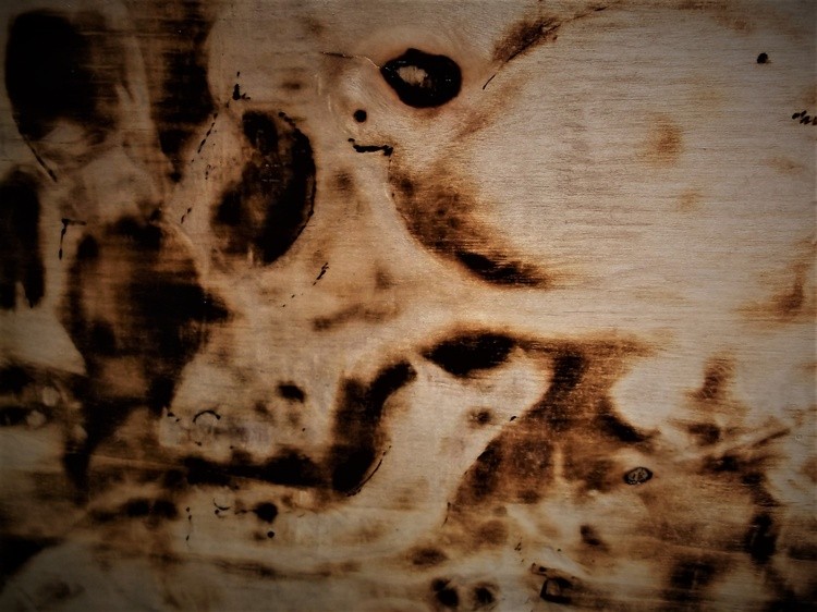 Srorched Skulls  (6)