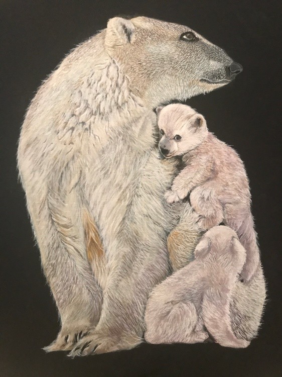 POLAR BEARS
