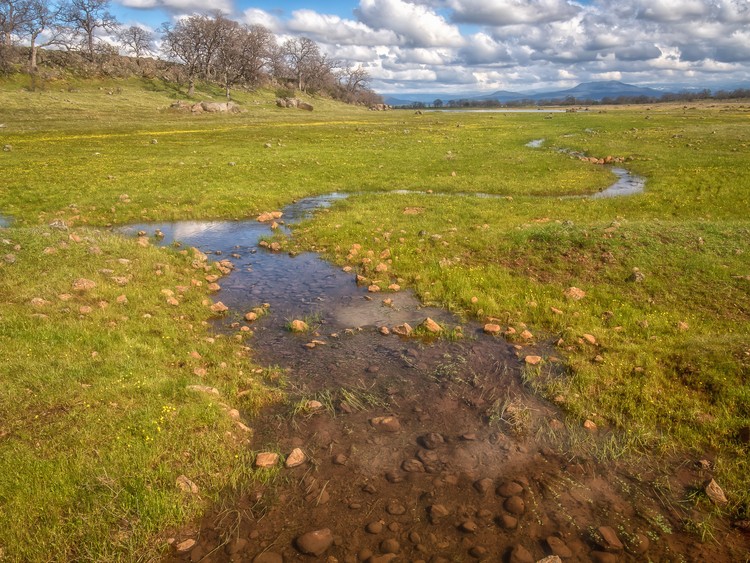 The Path of Least Resistance