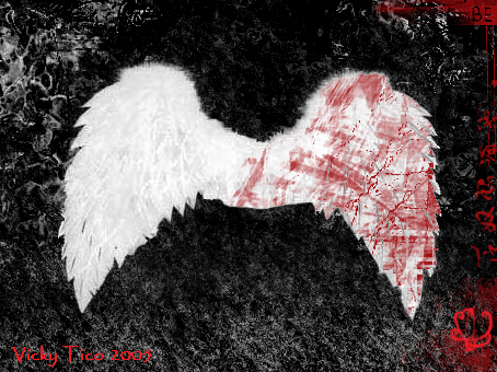 I have another wing for to continue flying