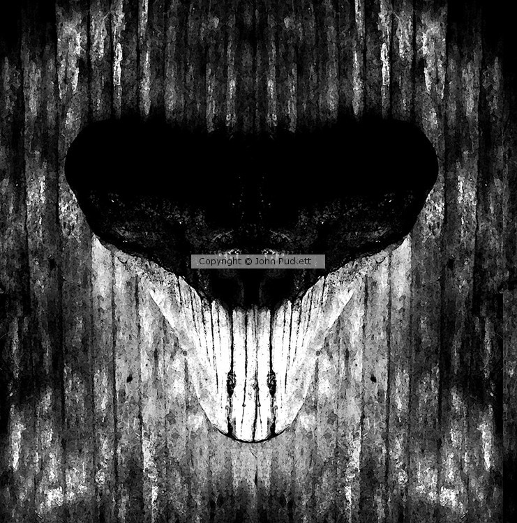 P7104640-tooth-square