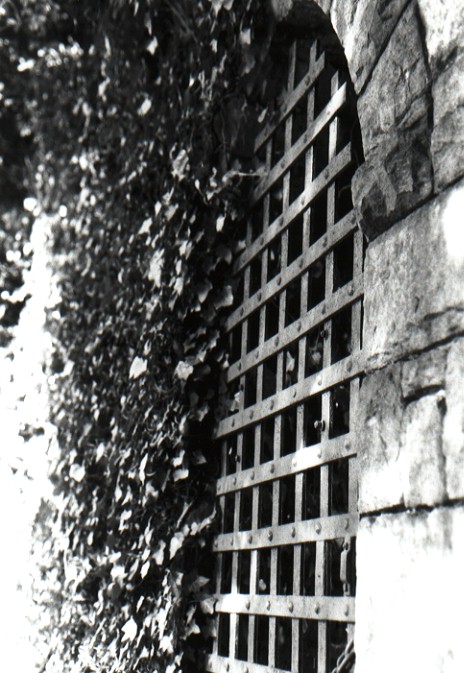 The Gate