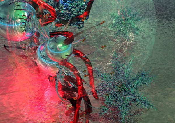 Salvia's Dream